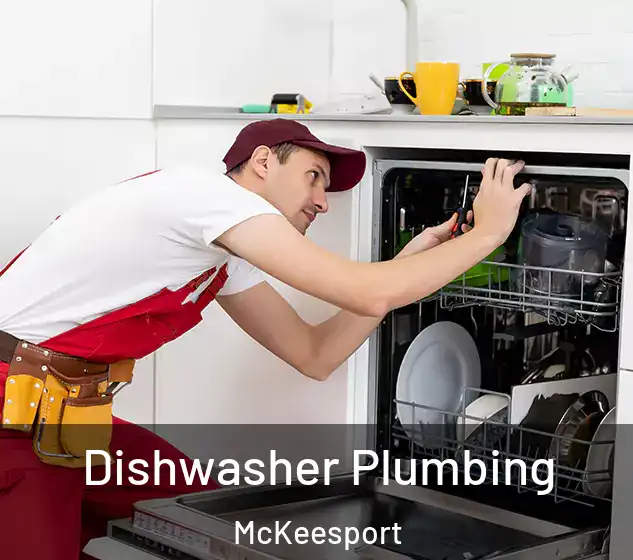  Dishwasher Plumbing McKeesport