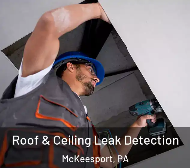  Roof & Ceiling Leak Detection McKeesport, PA