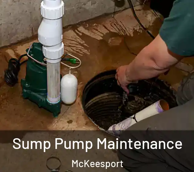  Sump Pump Maintenance McKeesport