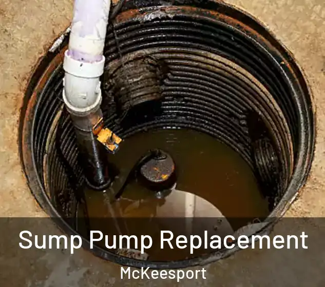  Sump Pump Replacement McKeesport