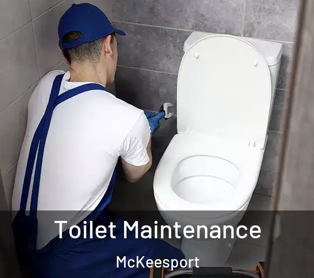  Toilet Maintenance McKeesport