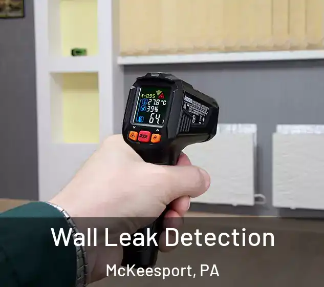  Wall Leak Detection McKeesport, PA