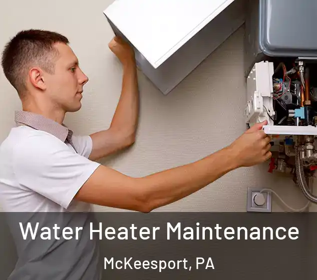  Water Heater Maintenance McKeesport, PA