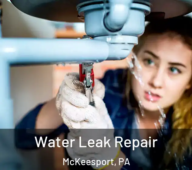  Water Leak Repair McKeesport, PA