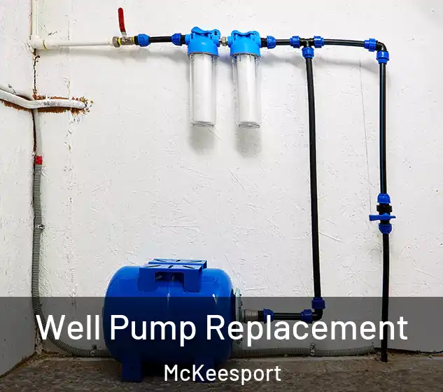  Well Pump Replacement McKeesport